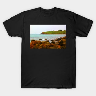 Coastal saturated T-Shirt